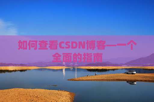 如何查看CSDN博客—一个全面的指南